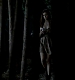 TVD_270.JPG