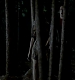 TVD_271.JPG