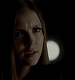 TVD_301.JPG