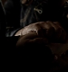 TVD_619.JPG