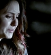 TVD_498.JPG