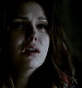 TVD_507.JPG