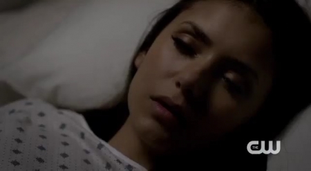 The_Vampire_Diaries_-_Nina_Dobrev_Interview-0049.jpg