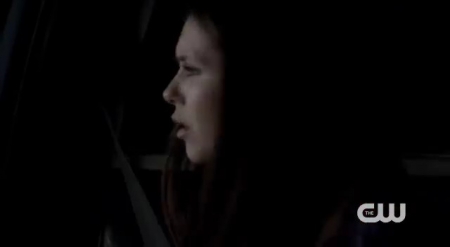 The_Vampire_Diaries_-_Nina_Dobrev_Interview-0070.jpg