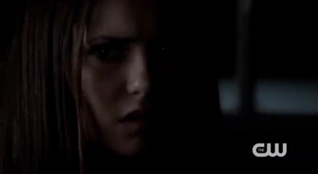 The_Vampire_Diaries_-_Nina_Dobrev_Interview-0086.jpg