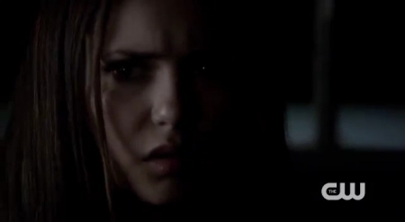 The_Vampire_Diaries_-_Nina_Dobrev_Interview-0087.jpg
