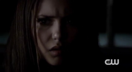 The_Vampire_Diaries_-_Nina_Dobrev_Interview-0088.jpg