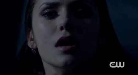 The_Vampire_Diaries_-_Nina_Dobrev_Interview-0148.jpg