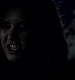 TVD_431.JPG