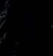TVD_436.JPG