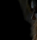 TVD_438.JPG