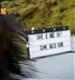 TVD_278.JPG