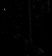 TVD_362.JPG