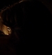 TVD_367.JPG