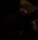 TVD_390.JPG