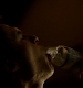 TVD_399.JPG