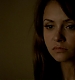 TVD_436.JPG
