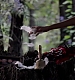0546.JPG