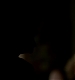 TVD_048.JPG