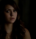 TVD_550.JPG