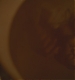 TVD_s5e11_00050.jpg