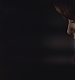 TVD_s5e11_06489.jpg