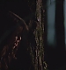 TVD_s5e12_04850.jpg