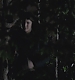 TVD_s5e12_04862.jpg