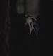 TVD_s5e12_04872.jpg