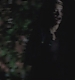 TVD_s5e12_04879.jpg