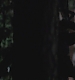 TVD_s5e12_04880.jpg