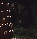 TVD_s5e12_04959.jpg