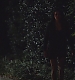 TVD_s5e12_04967.jpg