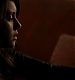 TVD_204.JPG