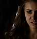 TVD_387.JPG