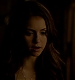 TVD_561.JPG