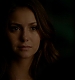 TVD_387.JPG