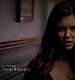 TVD_031.JPG