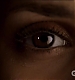 TVD_261.JPG