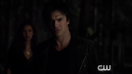 TVD_500.JPG
