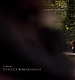 TVD_038.JPG