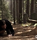TVD_477.JPG